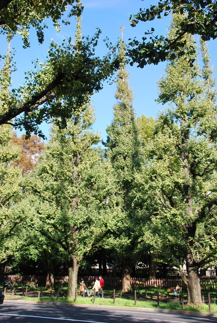 b0174068_23114774.jpg