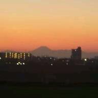 b0069169_117456.jpg