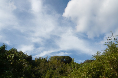 f0215179_9242018.jpg