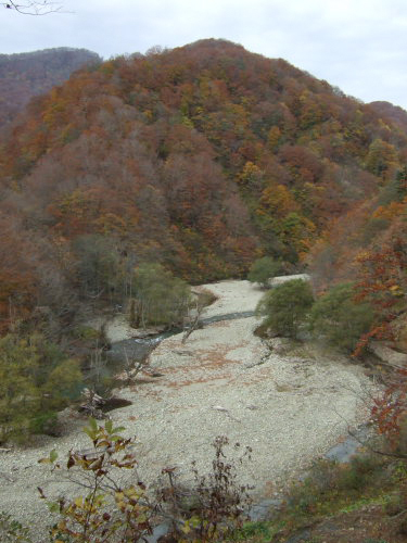 c0195281_7534272.jpg