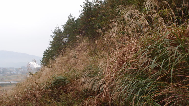 e0024081_20414943.jpg