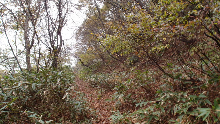 e0024081_20423896.jpg