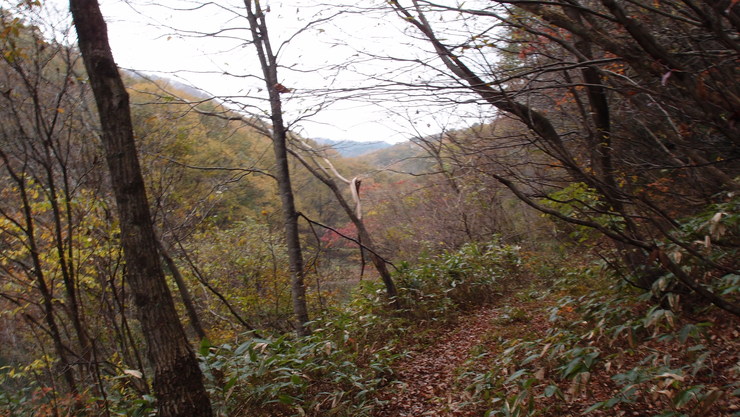 e0024081_2043298.jpg