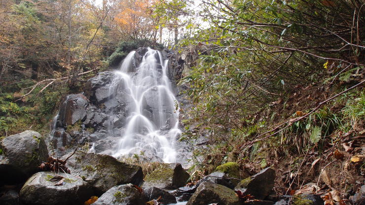 e0024081_2044182.jpg