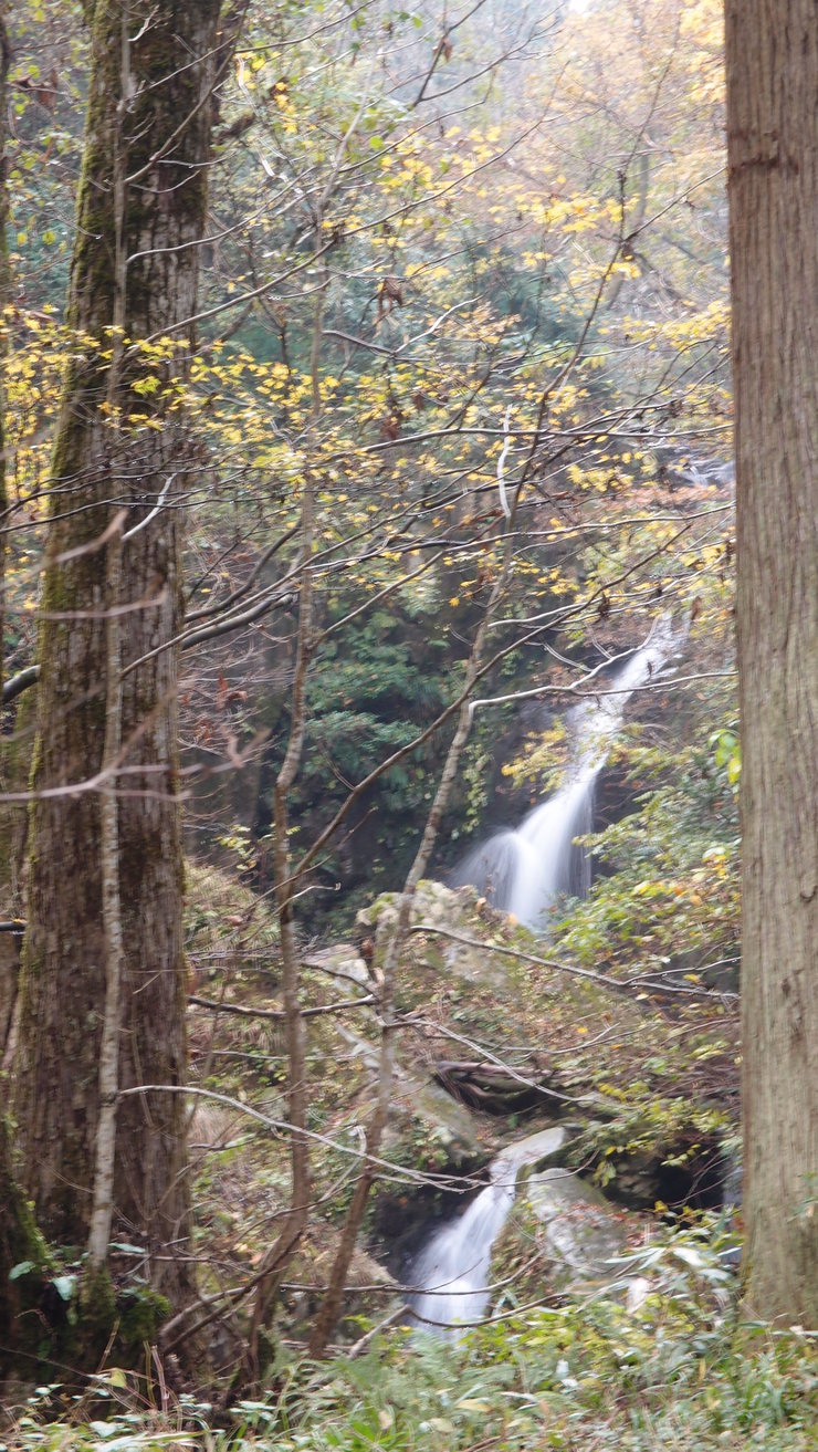 e0024081_20464699.jpg
