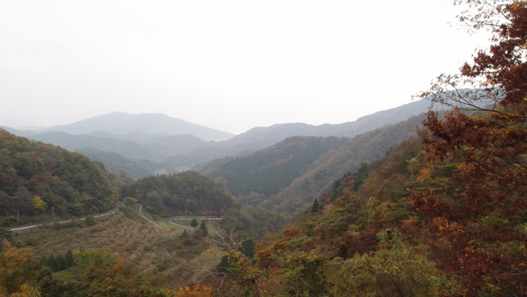 e0024081_20471337.jpg