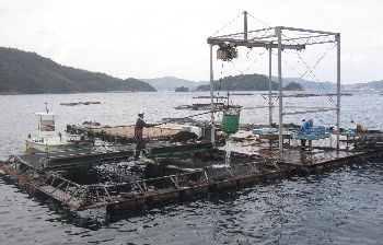 f0003283_18345853.jpg