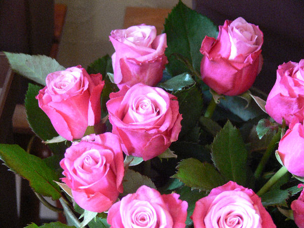 e0140986_13521447.jpg