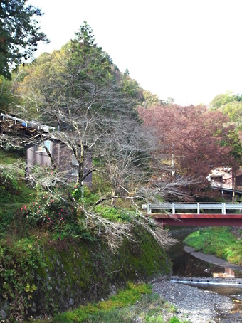 b0087187_17393077.jpg