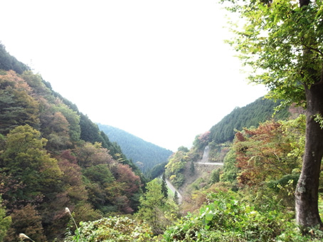 b0087187_17395342.jpg