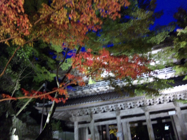 c0204188_23101361.jpg