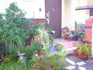 a0026089_16424889.jpg