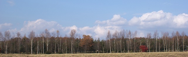 f0079289_20503159.jpg