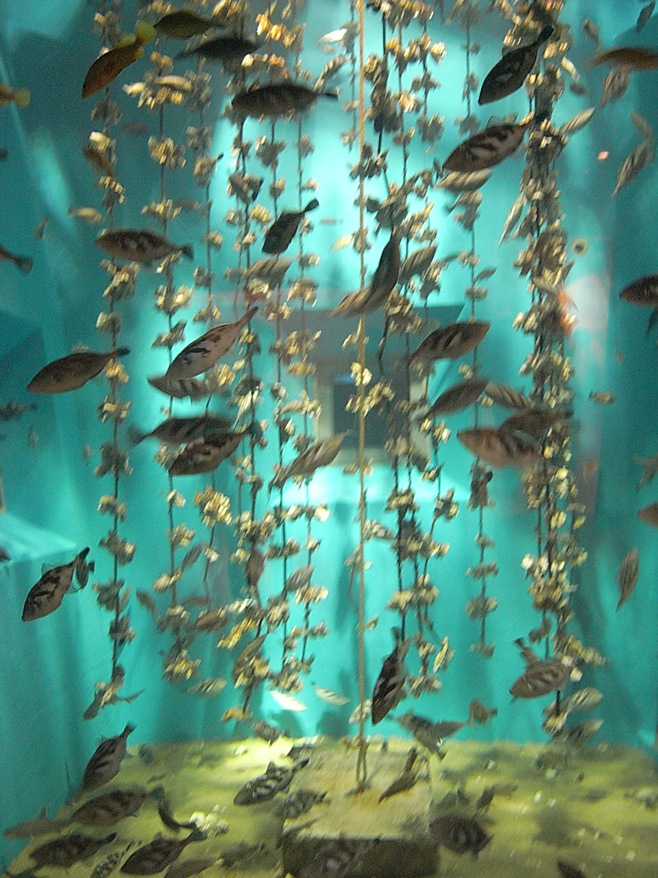 e0230090_2314223.jpg