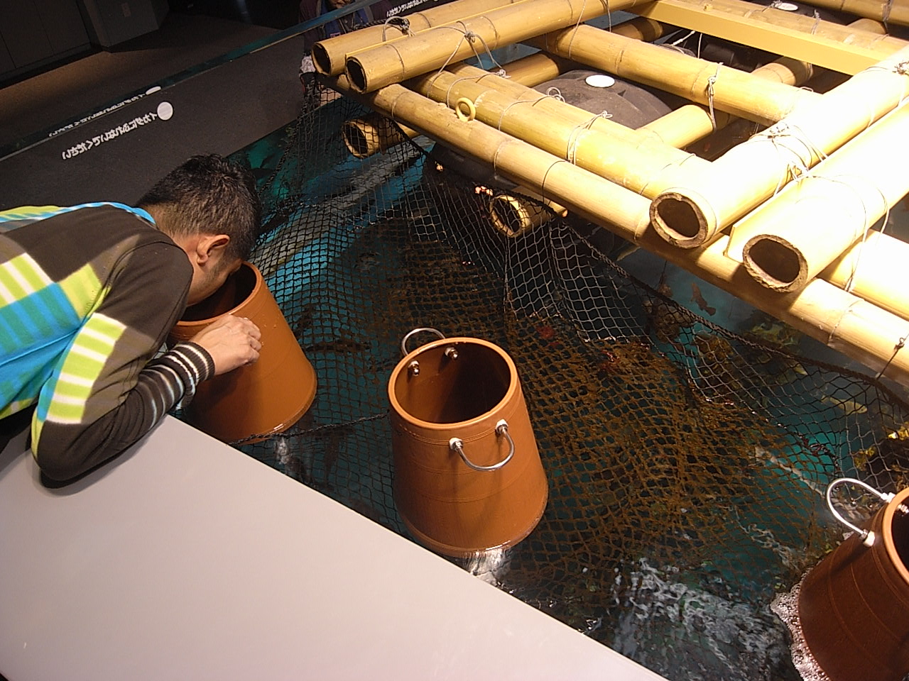e0230090_2333088.jpg