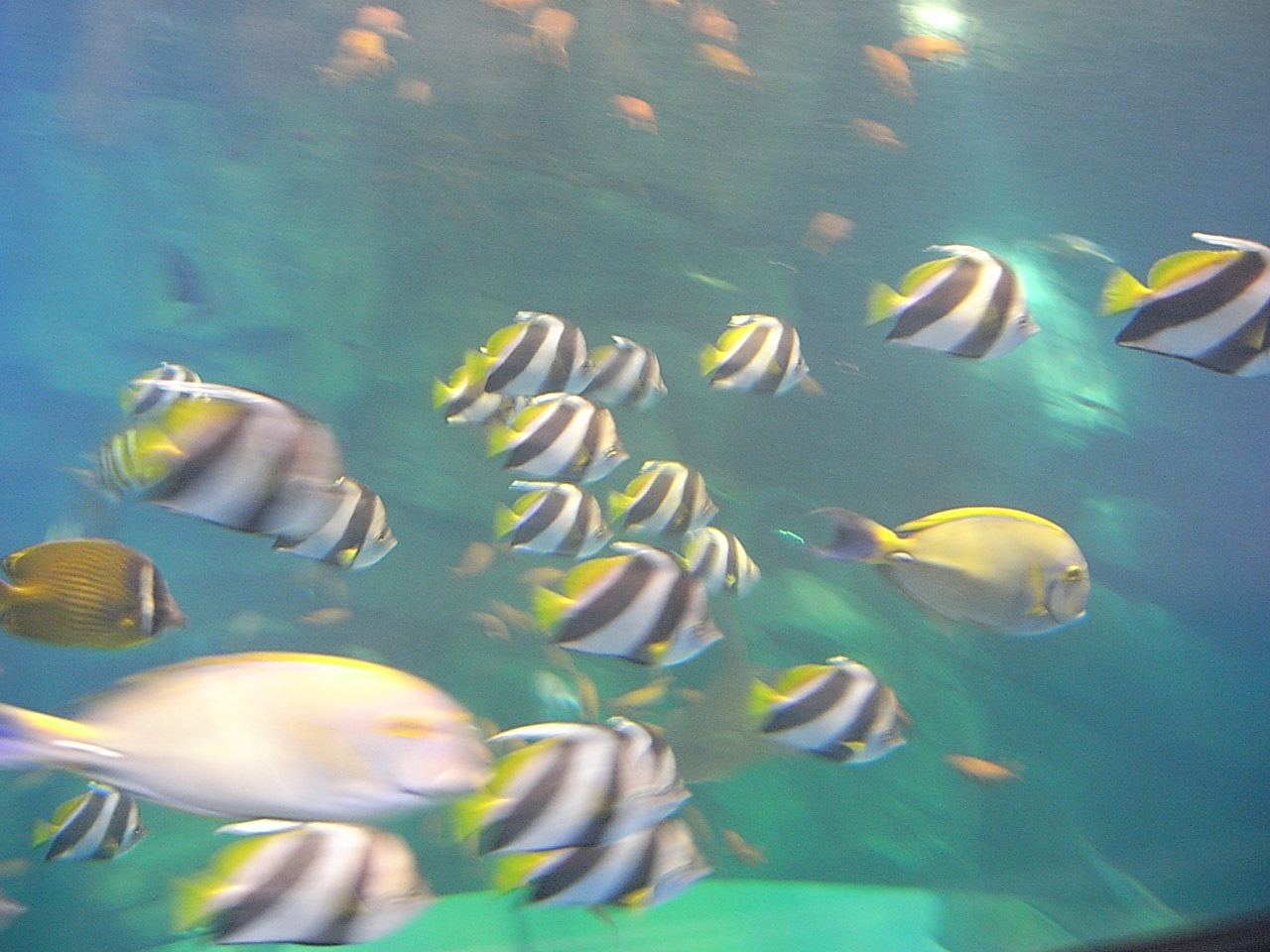 e0230090_2344362.jpg