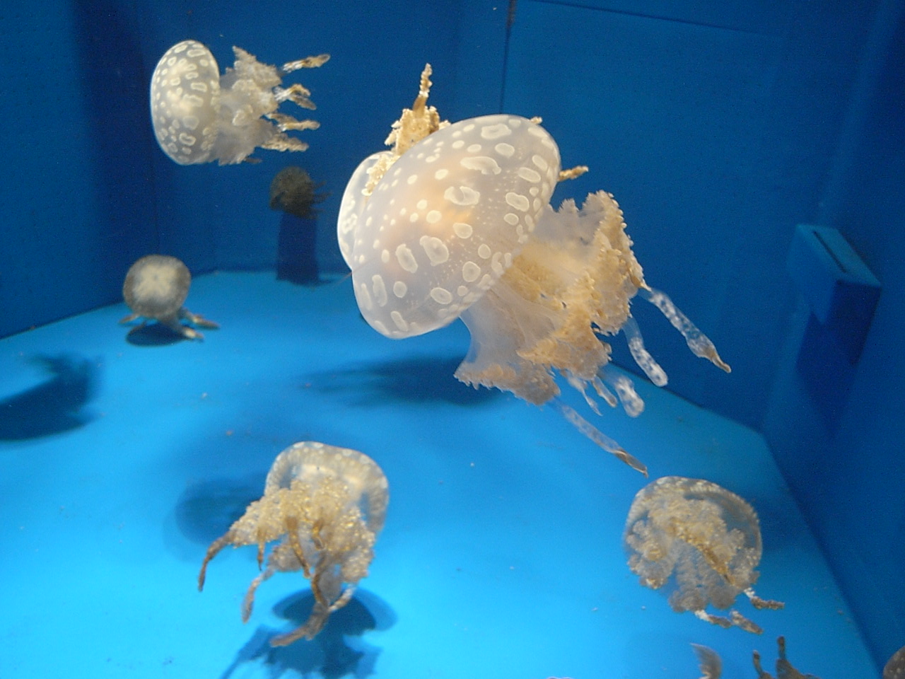e0230090_2352982.jpg