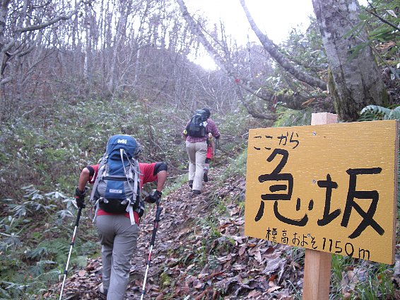 f0125091_11112518.jpg
