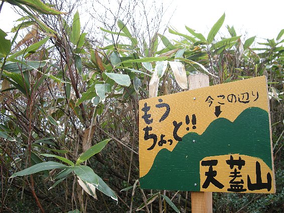 f0125091_11114434.jpg