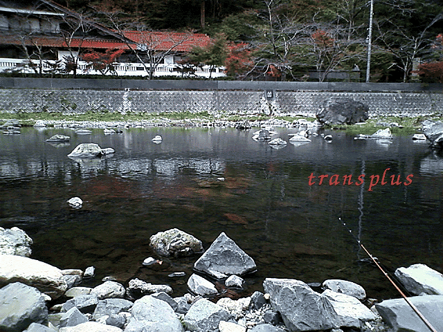 b0031493_18371276.gif
