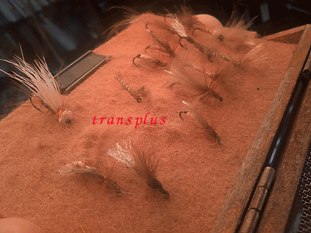 b0031493_19191314.gif