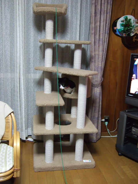 c0150193_13154619.jpg
