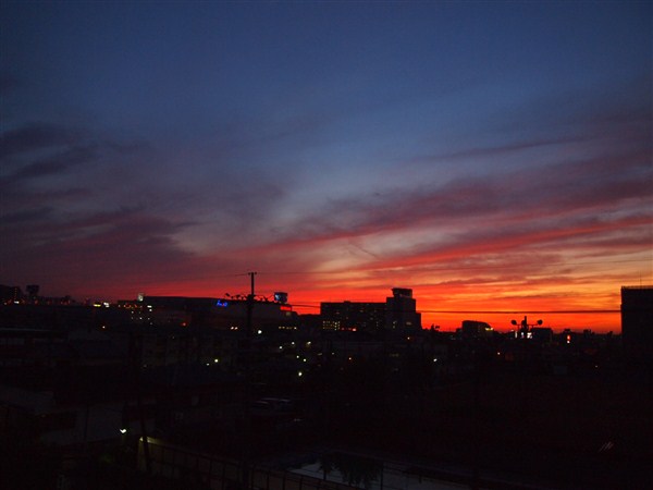 a0058195_202881.jpg