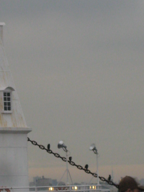 a0193698_2050413.jpg