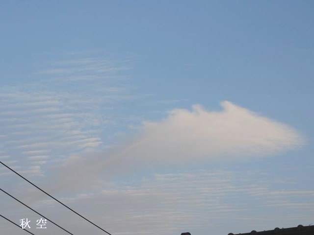 e0025300_13193044.jpg