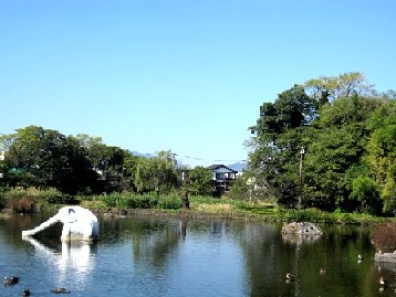 a0040103_20112216.jpg