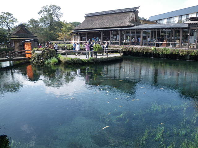 a0116205_0315475.jpg