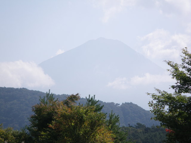 a0116205_0335081.jpg
