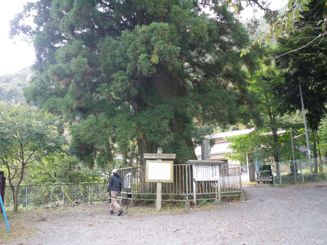a0116205_0342488.jpg