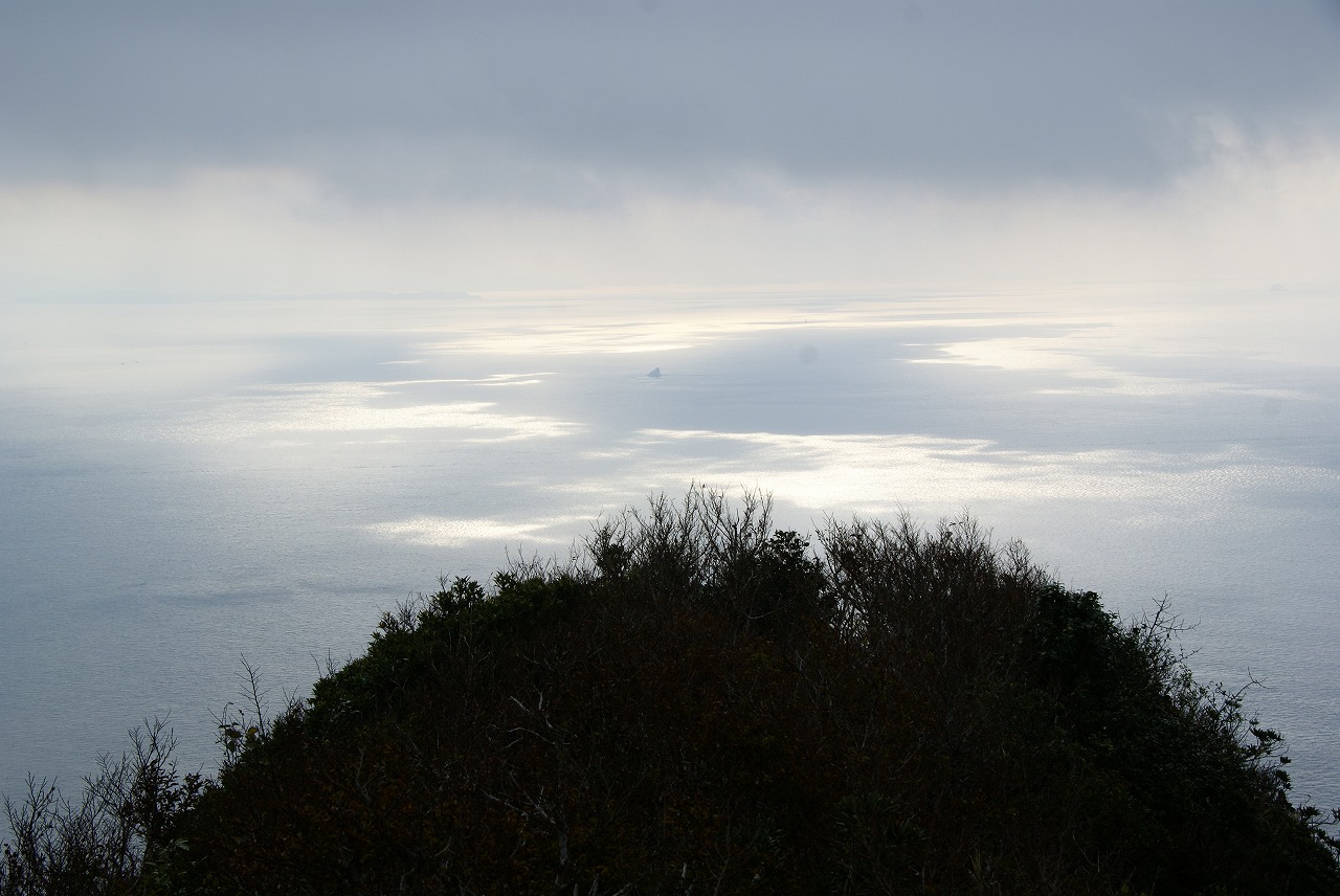 a0162707_238595.jpg