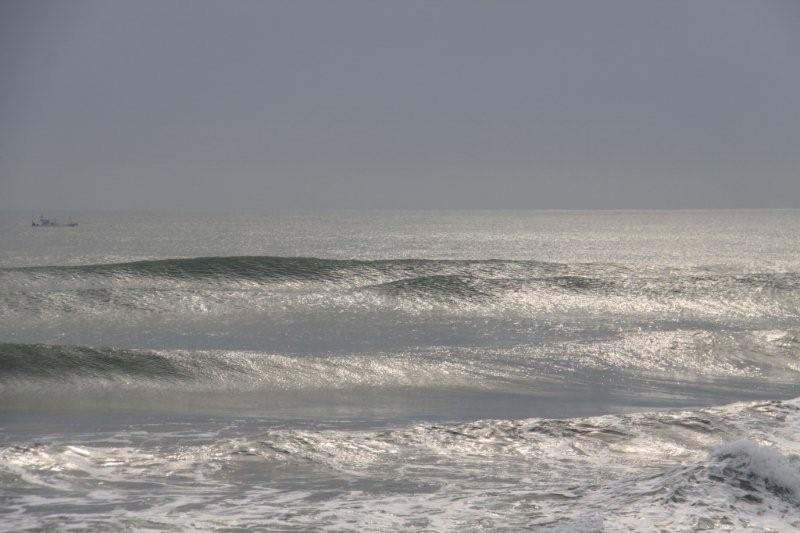 e0250807_2310369.jpg