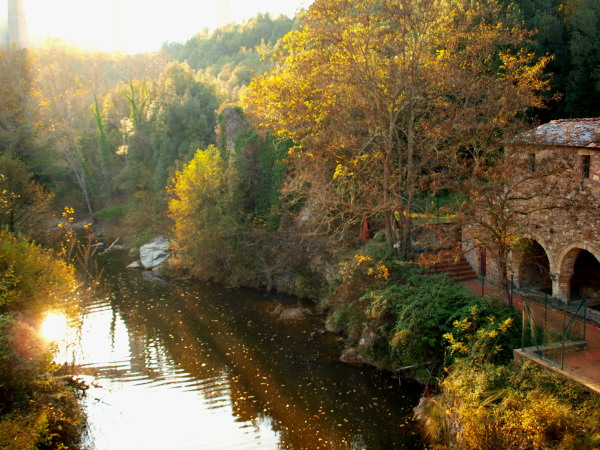 a0207108_494711.jpg