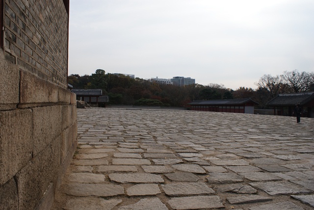 d0182913_2033432.jpg