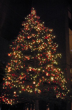a0053420_14515817.jpg