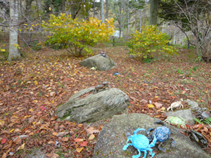 b0019820_22204131.jpg