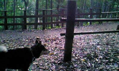 d0024220_22123258.jpg