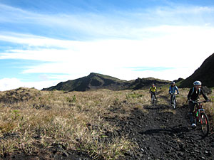 d0023725_16383028.jpg