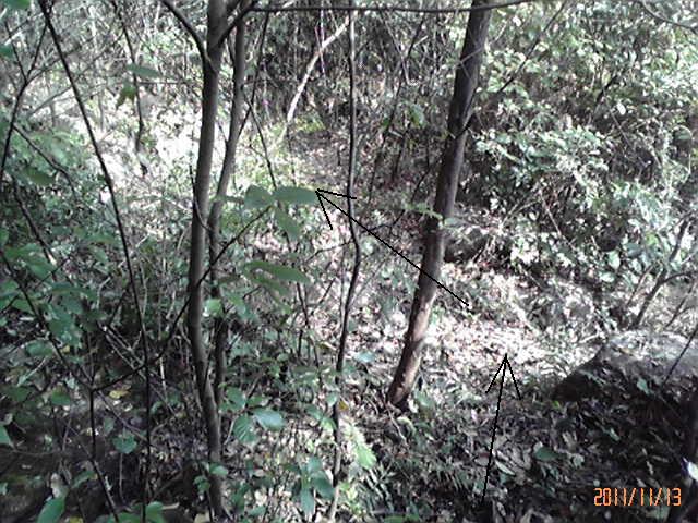 b0222530_17104740.jpg