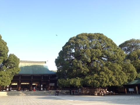 a0224731_16535226.jpg