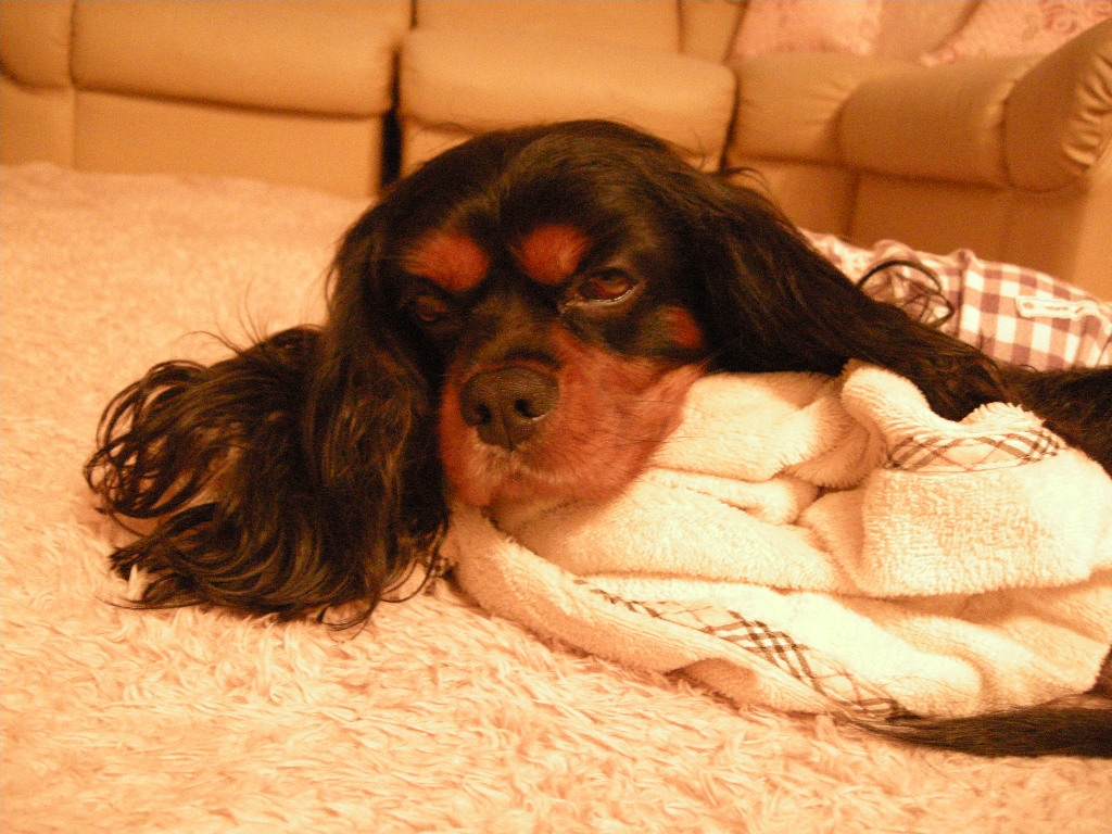 f0193836_20103957.jpg