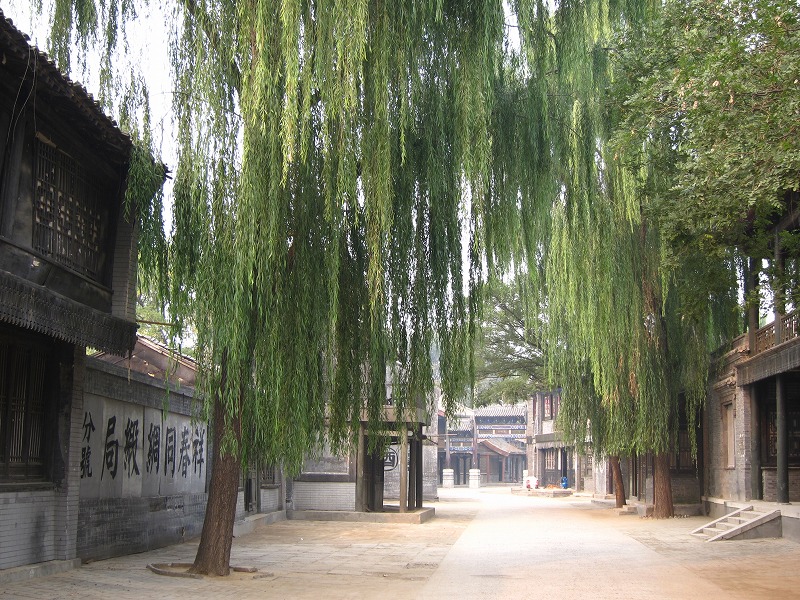 a0219537_23565996.jpg