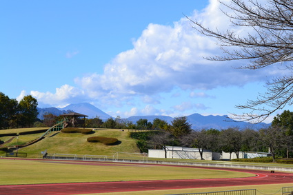 e0228938_1731241.jpg