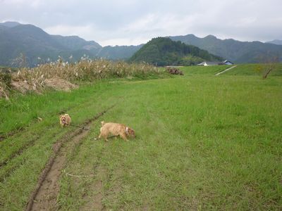 c0211540_0243328.jpg