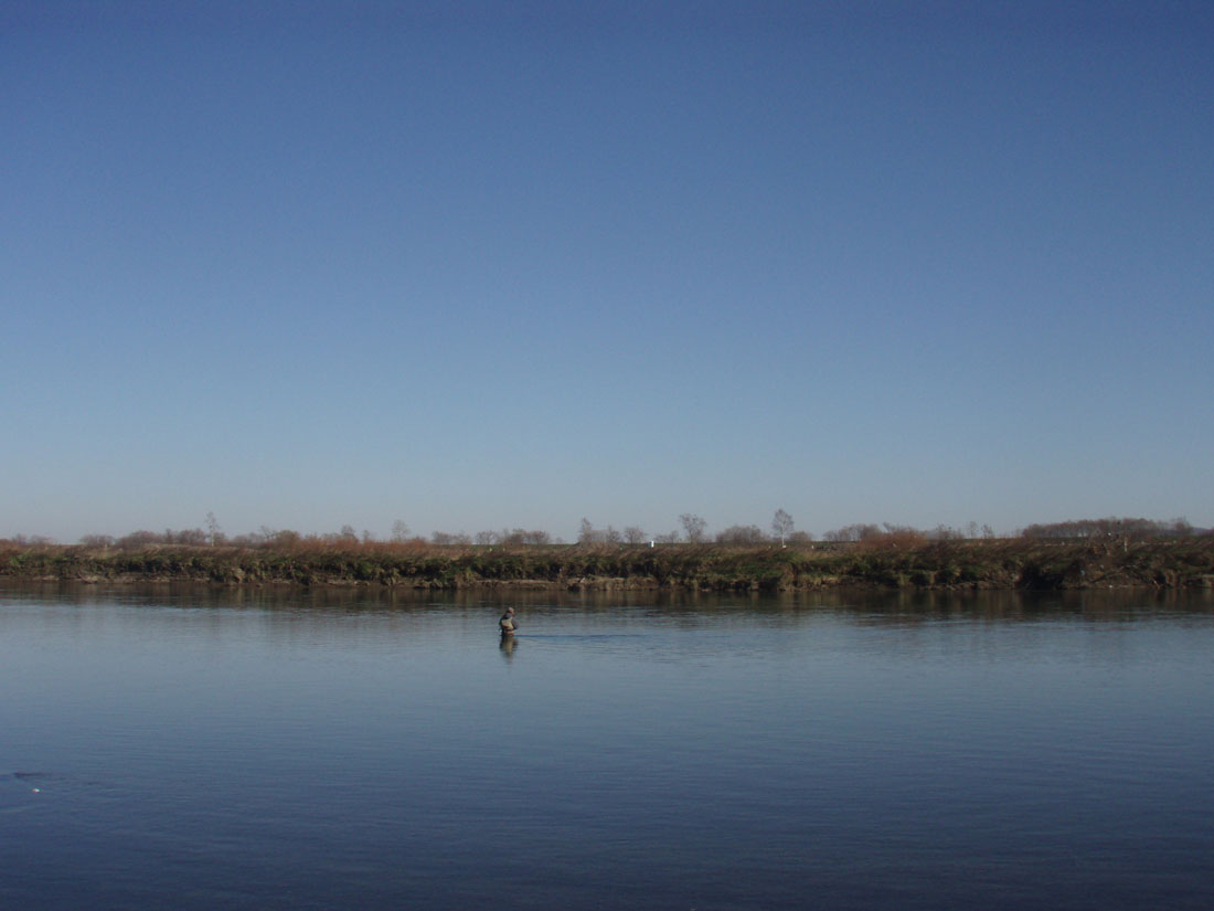b0072541_0105649.jpg