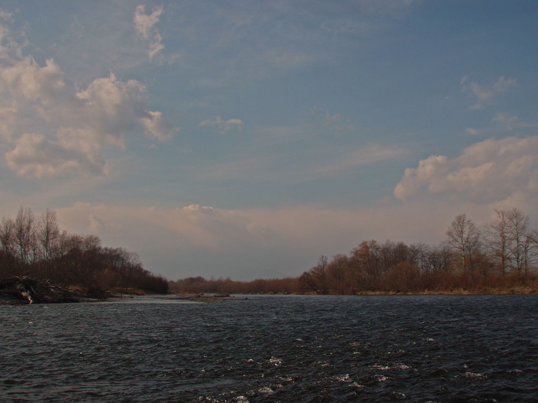 b0072541_0164090.jpg