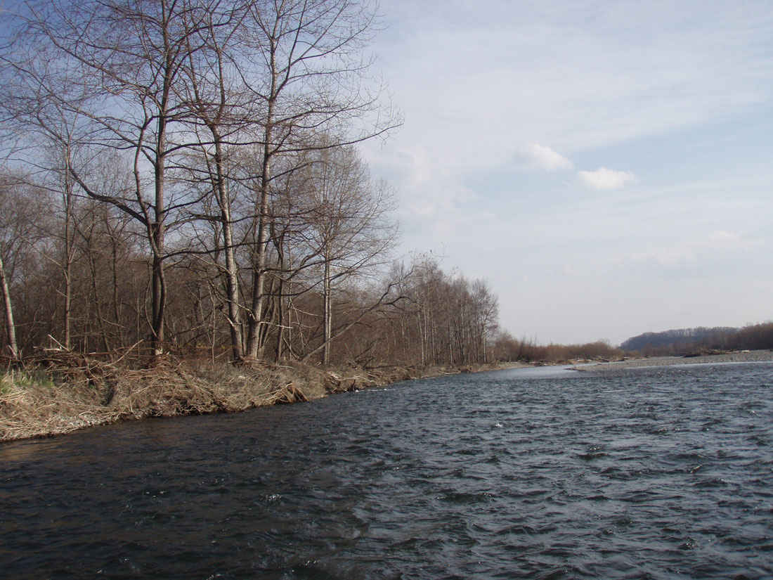 b0072541_0275310.jpg